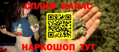 стаф Кунгур